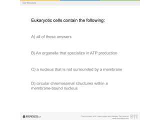 Free to share, print, make copies and changes. Get yours at
www.boundless.com
Cell Structure
Eukaryotic cells contain the following:
A) all of these answers
B) An organelle that specialize in ATP production
C) a nucleus that is not surrounded by a membrane
D) circular chromosomal structures within a
membrane-bound nucleus
 