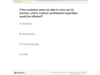 Free to share, print, make copies and changes. Get yours at
www.boundless.com
Cell Structure
If the nucleolus were not able to carry out its
function, which nucleus-synthesized organelles
would be affected?
A) Proteins
B) Ribosomes
C) Chromosomes
D) DNA
 