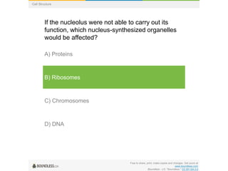 Free to share, print, make copies and changes. Get yours at
www.boundless.com
Boundless - LO. "Boundless." CC BY-SA 3.0
Cell Structure
If the nucleolus were not able to carry out its
function, which nucleus-synthesized organelles
would be affected?
A) Proteins
B) Ribosomes
C) Chromosomes
D) DNA
 