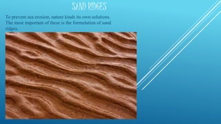 SAND RIDGES
To prevent sea erosion, nature kinds its own solutions.
The most important of these is the formulation of sand
ridges.
 