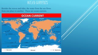 OCEAN CURRENTS
Besides the waves and tides, the water from the sea flows
from one place to another. These are ocean currents.
 