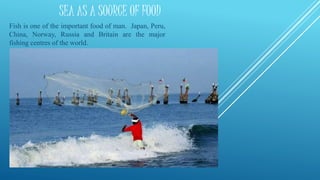 SEA AS A SOURCE OF FOOD
Fish is one of the important food of man. Japan, Peru,
China, Norway, Russia and Britain are the major
fishing centres of the world.
 