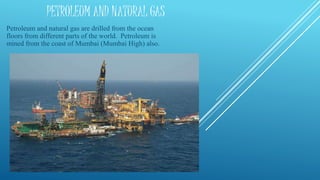 PETROLEUM AND NATURAL GAS
Petroleum and natural gas are drilled from the ocean
floors from different parts of the world. Petroleum is
mined from the coast of Mumbai (Mumbai High) also.
 