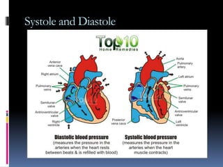 Systole and Diastole
 