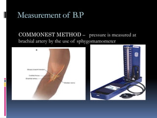 Measurement of B.P
COMMONEST METHOD – pressure is measured at
brachial artery by the use of sphygomamometer
 
