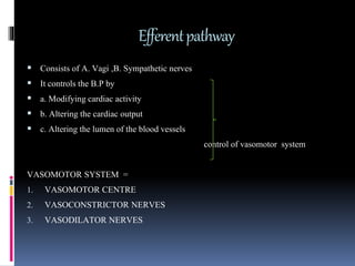 Efferentpathway
 Consists of A. Vagi ,B. Sympathetic nerves
 It controls the B.P by
 a. Modifying cardiac activity
 b. Altering the cardiac output
 c. Altering the lumen of the blood vessels
control of vasomotor system
VASOMOTOR SYSTEM =
1. VASOMOTOR CENTRE
2. VASOCONSTRICTOR NERVES
3. VASODILATOR NERVES
 