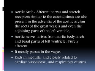 Aortic Arch- Afferent nerves and stretch
receptors similar to the carotid sinus are also
present in the adventia of the aortuc archm
the roots of the great vessels and even the
adjoining parts of the left venticle,
 Aortic nerve- arises from aortic body, arch
and basal partu of left ventricle . Purely
afferent.
 It mostly passes in the vagus.
 Ends in medulla and closely related to
cardiac, vasomotor , and respiratory centres
 