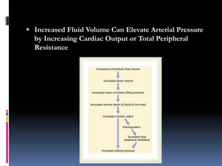  Increased Fluid Volume Can Elevate Arterial Pressure
by Increasing Cardiac Output or Total Peripheral
Resistance
 