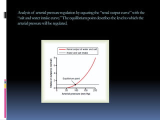 Analysisof arterialpressureregulationbyequatingthe“renaloutputcurve”withthe
“saltandwaterintakecurve.”Theequilibriumpoint describestheleveltowhichthe
arterialpressurewill be regulated.
 