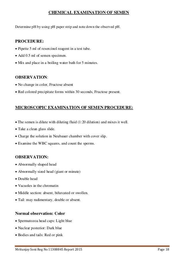 essay about environmental solutions inc trash