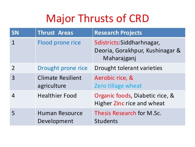 Thesis on drought tolerance in rice
