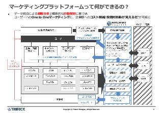 2Copyright © Tribeck Strategies, All right Reserved. 2Copyright © Tribeck Strategies, All right Reserved.
マーケティングプラットフォームって何ができるの？
 データ統合による顧客分析と横断的な行動解析に基づき、
ユーザーへのOne to Oneマーケティングと、企業様へのコスト削減/投資対効果の“見える化”が可能に
 