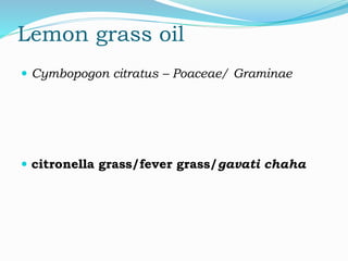 Lemon grass oil
 Cymbopogon citratus – Poaceae/ Graminae
 citronella grass/fever grass/gavati chaha
 