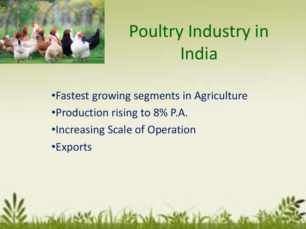 Agro based industries scenario and their future in India