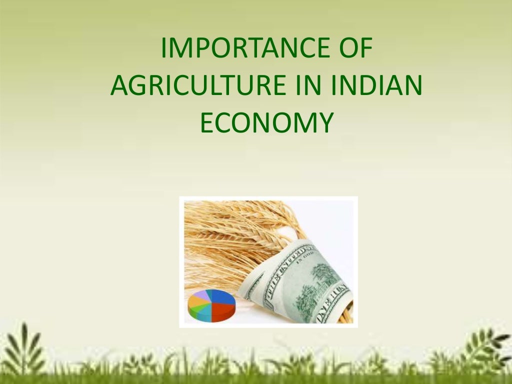 Agro based industries scenario and their future in India