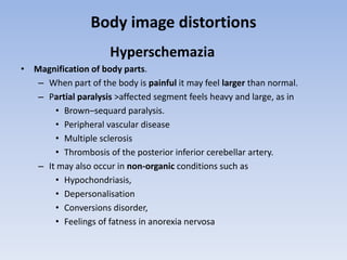 Body image distortions
Hyperschemazia
• Magnification of body parts.
– When part of the body is painful it may feel larger than normal.
– Partial paralysis >affected segment feels heavy and large, as in
• Brown–sequard paralysis.
• Peripheral vascular disease
• Multiple sclerosis
• Thrombosis of the posterior inferior cerebellar artery.
– It may also occur in non-organic conditions such as
• Hypochondriasis,
• Depersonalisation
• Conversions disorder,
• Feelings of fatness in anorexia nervosa
 