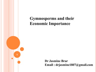1
Gymnosperms and their
Economic Importance
Dr Jasmine Brar
Email : drjasmine1807@gmail.com
 
