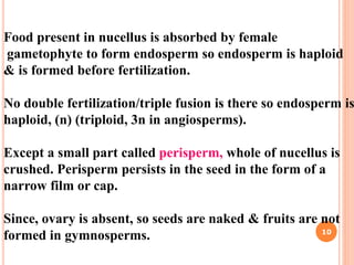 Food present in nucellus is absorbed by female
gametophyte to form endosperm so endosperm is haploid
& is formed before fertilization.
No double fertilization/triple fusion is there so endosperm is
haploid, (n) (triploid, 3n in angiosperms).
Except a small part called perisperm, whole of nucellus is
crushed. Perisperm persists in the seed in the form of a
narrow film or cap.
Since, ovary is absent, so seeds are naked & fruits are not
formed in gymnosperms. 10
 