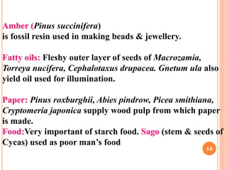 Amber (Pinus succinifera)
is fossil resin used in making beads & jewellery.
Fatty oils: Fleshy outer layer of seeds of Macrozamia,
Torreya nucifera, Cephalotaxus drupacea. Gnetum ula also
yield oil used for illumination.
Paper: Pinus roxburghii, Abies pindrow, Picea smithiana,
Cryptomeria japonica supply wood pulp from which paper
is made.
Food:Very important of starch food. Sago (stem & seeds of
Cycas) used as poor man’s food
15
 