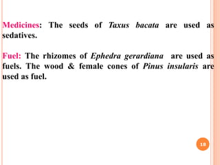 Medicines: The seeds of Taxus bacata are used as
sedatives.
Fuel: The rhizomes of Ephedra gerardiana are used as
fuels. The wood & female cones of Pinus insularis are
used as fuel.
18
 