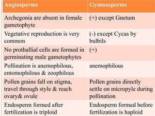 Angiosperms Gymnosperms
Archegonia are absent in female
gametophyte
(+) except Gnetum
Vegetative reproduction is very
common
(-) except Cycas by
bulbils
No prothallial cells are formed in
germinating male gametophytes
(+)
Pollination is anemophilous,
entomophilous & zoophilous
anemophilous
Pollen grains fall on stigma,
travel through style & reach
ovary& ovule
Pollen grains directly
settle on micropyle during
pollination
Endosperm formed after
fertilization is triploid
Endosperm formed before
fertilization is haploid
23
 