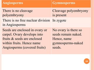 Angiosperms Gymnosperms
There is no cleavage
polyembryony
Cleavage polyembryony
is present
There is no free nuclear division
in Angiosperms
In zygote
Seeds are enclosed in ovary or
carpel. Ovary develops into
fruits & seeds are enclosed
within fruits. Hence name
Angiosperms (covered fruits)
No ovary is there so
seeds remain naked.
Hence, name
gymnosperms-naked
seeds.
24
 