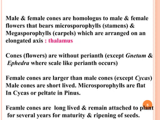 Male & female cones are homologus to male & female
flowers that bears microsporophylls (stamens) &
Megasporophylls (carpels) which are arranged on an
elongated axis : thalamus
Cones (flowers) are without perianth (except Gnetum &
Ephedra where scale like perianth occurs)
Female cones are larger than male cones (except Cycas)
Male cones are short lived. Microsporophylls are flat
In Cycas or peltate in Pinus.
Feamle cones are long lived & remain attached to plant
for several years for maturity & ripening of seeds.
5
 