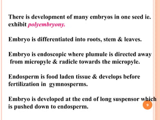 There is development of many embryos in one seed ie.
exhibit polyembryony.
Embryo is differentiated into roots, stem & leaves.
Embryo is endoscopic where plumule is directed away
from micropyle & radicle towards the micropyle.
Endosperm is food laden tissue & develops before
fertilization in gymnosperms.
Embryo is developed at the end of long suspensor which
is pushed down to endosperm. 9
 