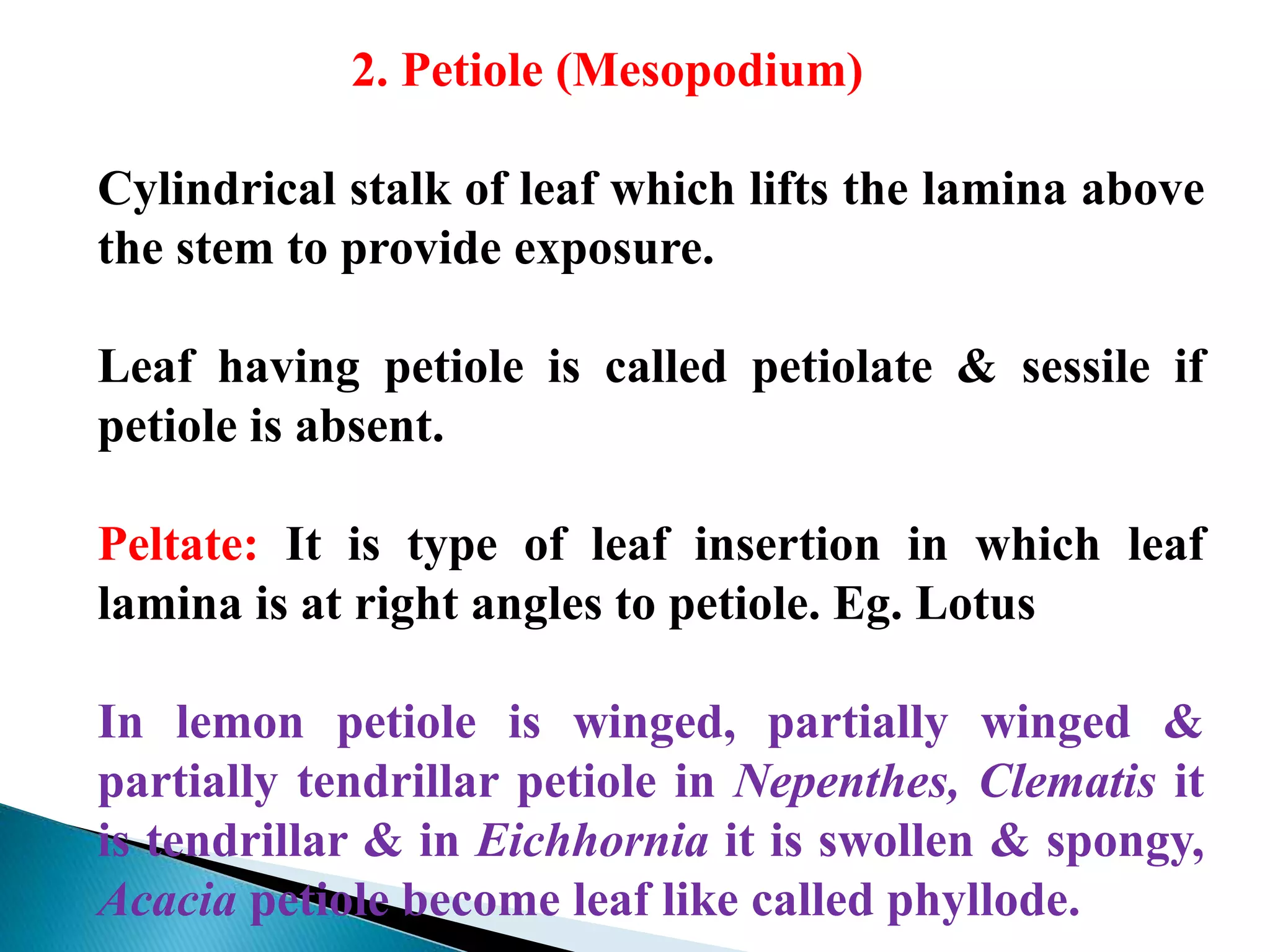 2. Petiole (Mesopodium)
Cylindrical stalk of leaf which lifts the lamina above
the stem to provide exposure.
Leaf having petiole is called petiolate & sessile if
petiole is absent.
Peltate: It is type of leaf insertion in which leaf
lamina is at right angles to petiole. Eg. Lotus
In lemon petiole is winged, partially winged &
partially tendrillar petiole in Nepenthes, Clematis it
is tendrillar & in Eichhornia it is swollen & spongy,
Acacia petiole become leaf like called phyllode.
 
