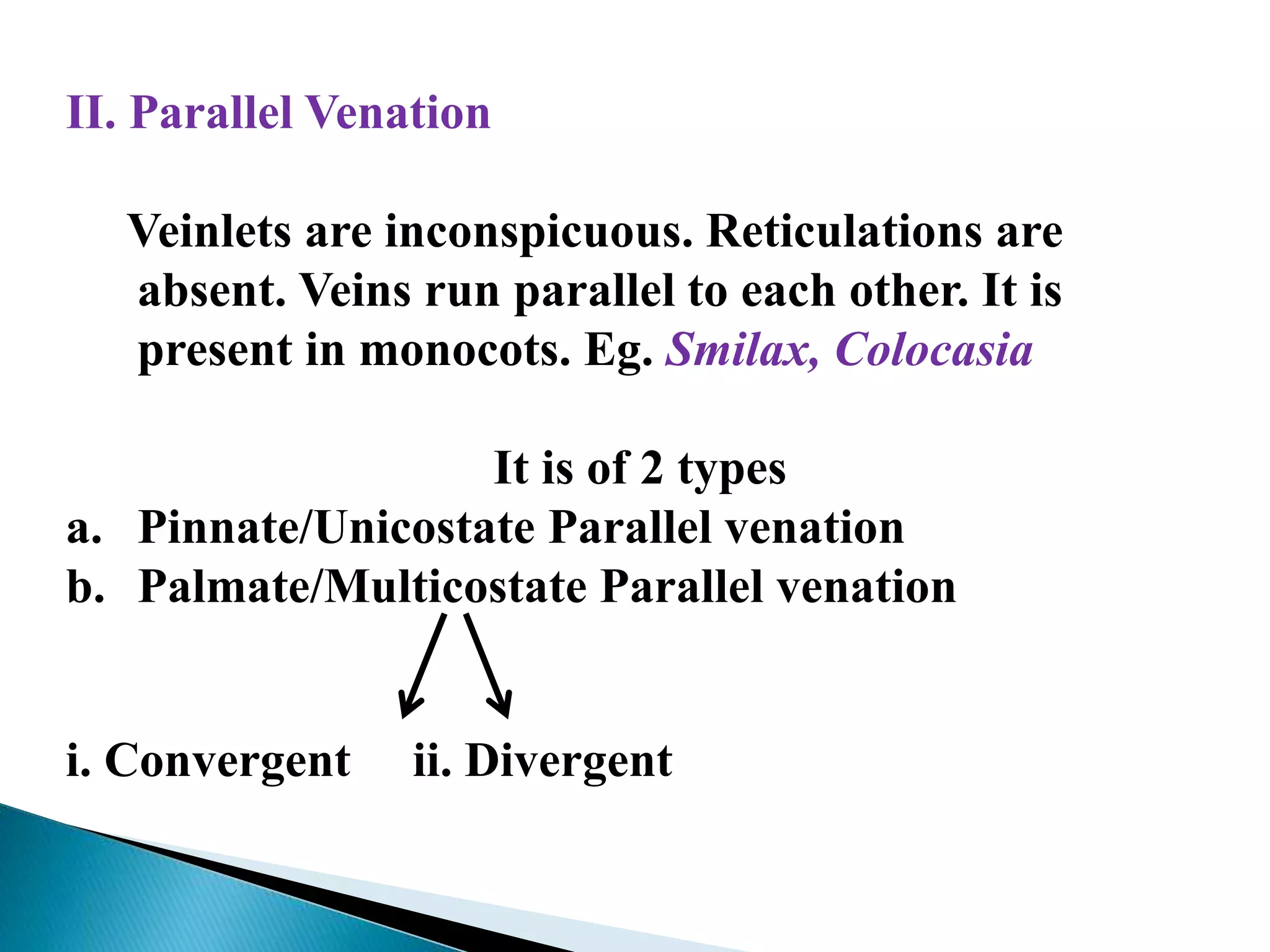 II. Parallel Venation
Veinlets are inconspicuous. Reticulations are
absent. Veins run parallel to each other. It is
present in monocots. Eg. Smilax, Colocasia
It is of 2 types
a. Pinnate/Unicostate Parallel venation
b. Palmate/Multicostate Parallel venation
i. Convergent ii. Divergent
 