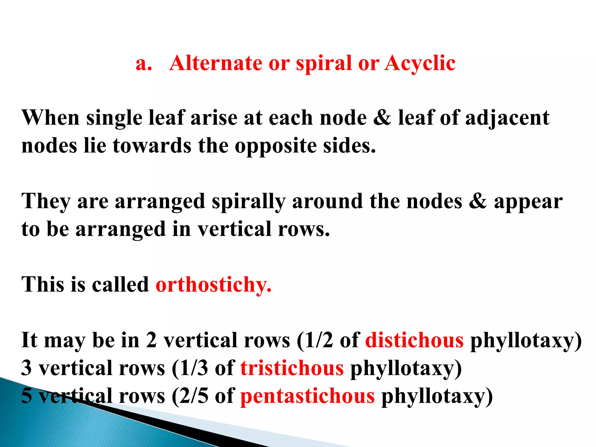 a. Alternate or spiral or Acyclic
When single leaf arise at each node & leaf of adjacent
nodes lie towards the opposite sides.
They are arranged spirally around the nodes & appear
to be arranged in vertical rows.
This is called orthostichy.
It may be in 2 vertical rows (1/2 of distichous phyllotaxy)
3 vertical rows (1/3 of tristichous phyllotaxy)
5 vertical rows (2/5 of pentastichous phyllotaxy)
 