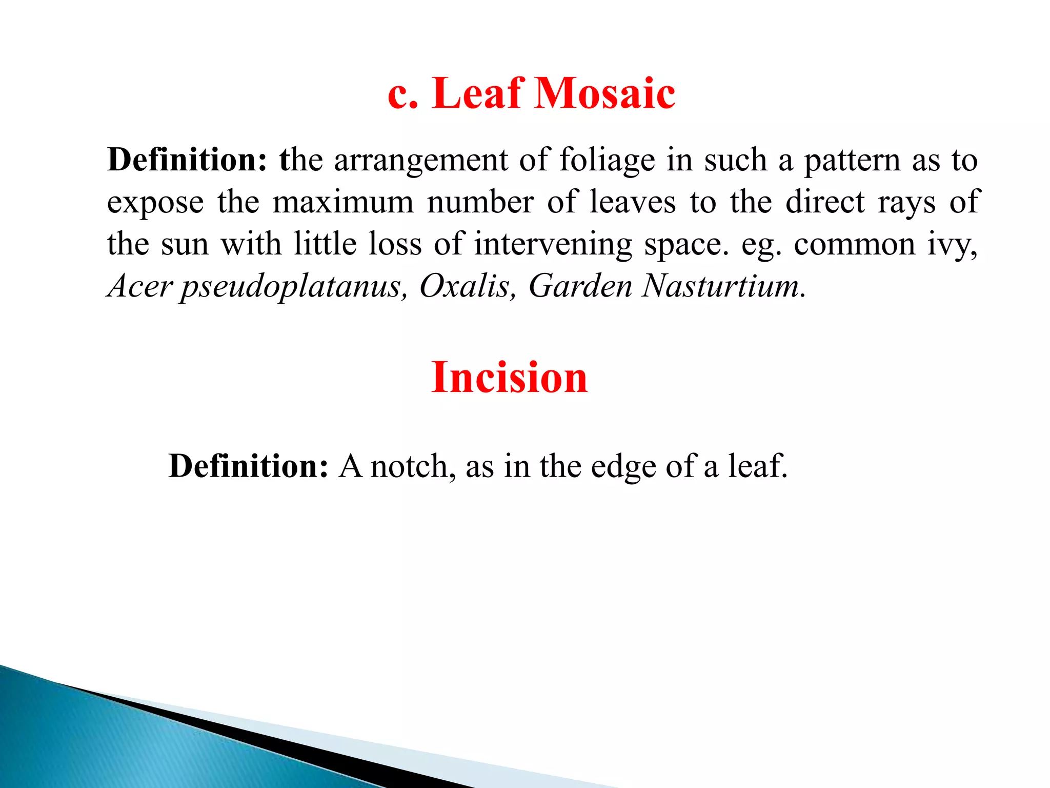 c. Leaf Mosaic
Definition: the arrangement of foliage in such a pattern as to
expose the maximum number of leaves to the direct rays of
the sun with little loss of intervening space. eg. common ivy,
Acer pseudoplatanus, Oxalis, Garden Nasturtium.
Incision
Definition: A notch, as in the edge of a leaf.
 