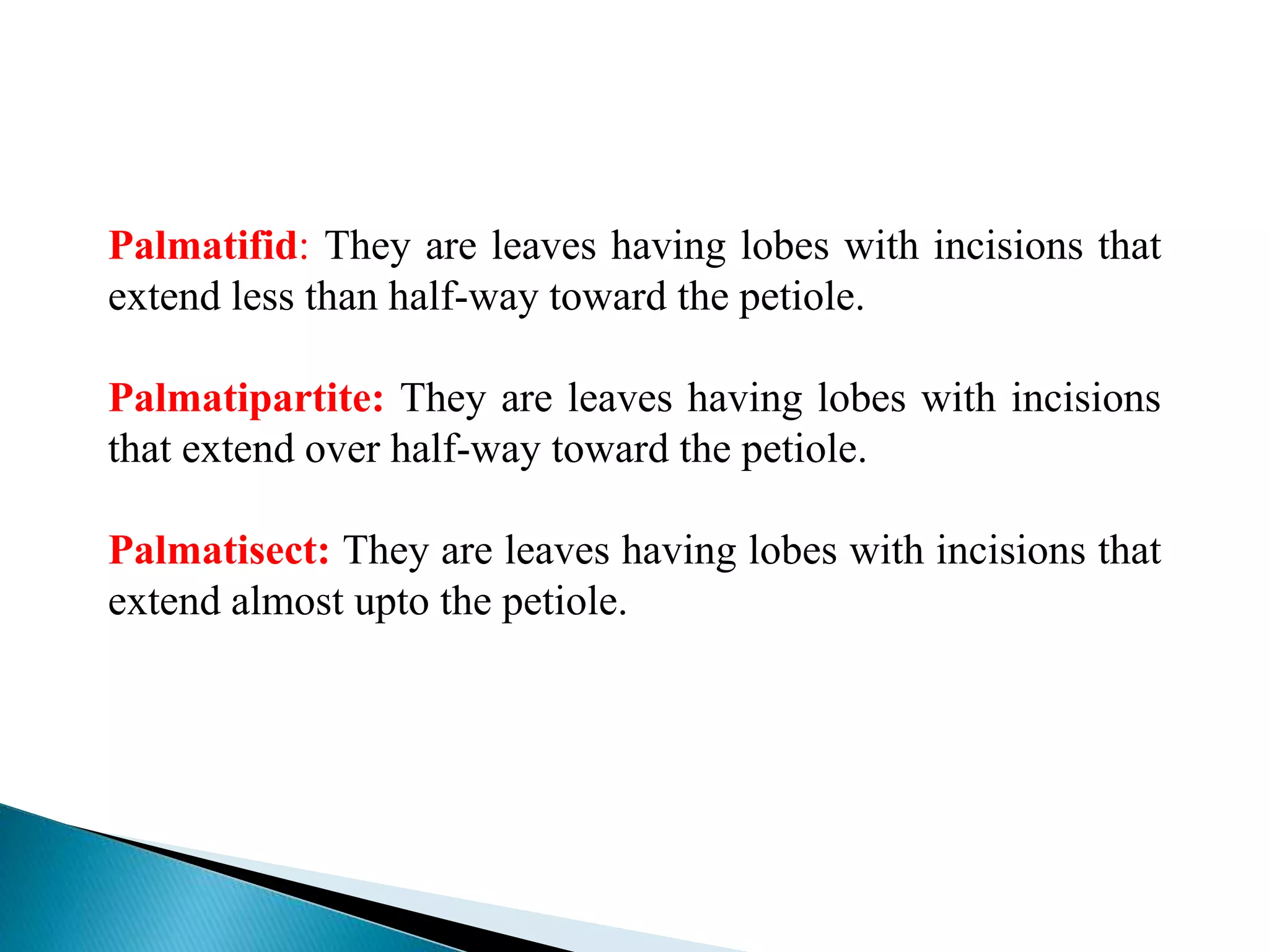 Palmatifid: They are leaves having lobes with incisions that
extend less than half-way toward the petiole.
Palmatipartite: They are leaves having lobes with incisions
that extend over half-way toward the petiole.
Palmatisect: They are leaves having lobes with incisions that
extend almost upto the petiole.
 