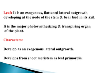 Leaf: It is an exogenous, flattened lateral outgrowth
developing at the node of the stem & bear bud in its axil.
It is the major photosynthesizing & transpiring organ
of the plant.
Characters:
Develop as an exogenous lateral outgrowth.
Develops from shoot meristem as leaf primordia.
 