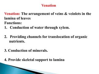Venation
Venation: The arrangement of veins & veinlets in the
lamina of leaves
Functions:
1. Conduction of water through xylem.
2. Providing channels for translocation of organic
nutrients.
3. Conduction of minerals.
4. Provide skeletal support to lamina
 