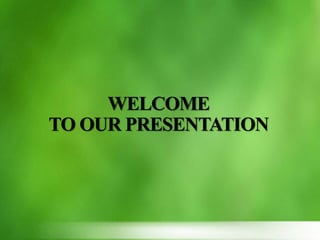 WELCOME
TO OUR PRESENTATION
 