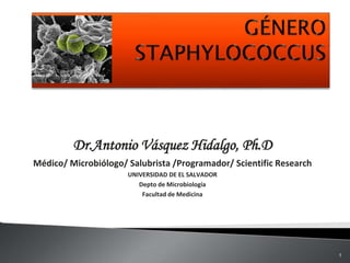 Dr.Antonio Vásquez Hidalgo, Ph.D
Médico/ Microbiólogo/ Salubrista /Programador/ Scientific Research
UNIVERSIDAD DE EL SALVADOR
Depto de Microbiología
Facultad de Medicina
1
 