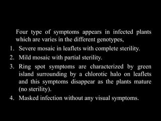 Four type of symptoms appears in infected plants
which are varies in the different genotypes,
1. Severe mosaic in leaflets with complete sterility.
2. Mild mosaic with partial sterility.
3. Ring spot symptoms are characterized by green
island surrounding by a chlorotic halo on leaflets
and this symptoms disappear as the plants mature
(no sterility).
4. Masked infection without any visual symptoms.
 