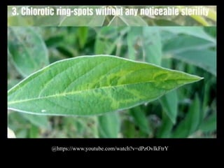 @https://www.youtube.com/watch?v=dPzOvIkFtrY
 