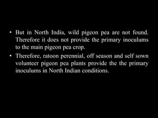 • But in North India, wild pigeon pea are not found.
Therefore it does not provide the primary inoculums
to the main pigeon pea crop.
• Therefore, ratoon perennial, off season and self sown
volunteer pigeon pea plants provide the the primary
inoculums in North Indian conditions.
 