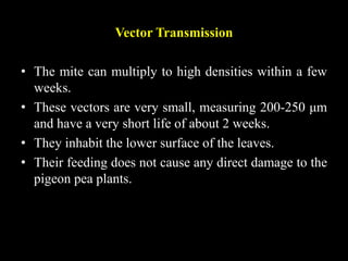 Vector Transmission
• The mite can multiply to high densities within a few
weeks.
• These vectors are very small, measuring 200-250 μm
and have a very short life of about 2 weeks.
• They inhabit the lower surface of the leaves.
• Their feeding does not cause any direct damage to the
pigeon pea plants.
 