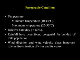 Favourable Condition
• Temperature:
Minimum temperature (10-15°C).
Maximum temperature (25-30°C).
• Relative humidity ( > 60%).
• Rainfall have been found congenial for buildup of
mite population.
• Wind direction and wind velocity plays important
role in dissemination of virus and its vector.
 