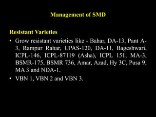 Management of SMD
Resistant Varieties
• Grow resistant varieties like - Bahar, DA-13, Pant A-
3, Rampur Rahar, UPAS-120, DA-11, Bageshwari,
ICPL-146, ICPL-87119 (Asha), ICPL 151, MA-3,
BSMR-175, BSMR 736, Amar, Azad, Hy 3C, Pusa 9,
MA 3 and NDA-1.
• VBN 1, VBN 2 and VBN 3.
 