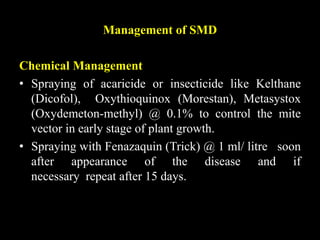 Management of SMD
Chemical Management
• Spraying of acaricide or insecticide like Kelthane
(Dicofol), Oxythioquinox (Morestan), Metasystox
(Oxydemeton-methyl) @ 0.1% to control the mite
vector in early stage of plant growth.
• Spraying with Fenazaquin (Trick) @ 1 ml/ litre soon
after appearance of the disease and if
necessary repeat after 15 days.
 