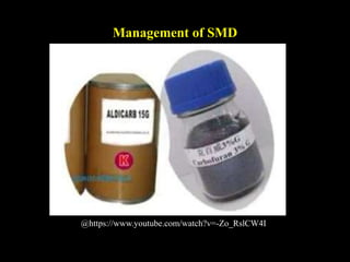 Management of SMD
@https://www.youtube.com/watch?v=-Zo_RslCW4I
 