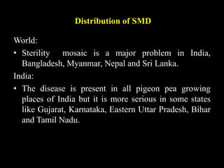 Distribution of SMD
World:
• Sterility mosaic is a major problem in India,
Bangladesh, Myanmar, Nepal and Sri Lanka.
India:
• The disease is present in all pigeon pea growing
places of India but it is more serious in some states
like Gujarat, Karnataka, Eastern Uttar Pradesh, Bihar
and Tamil Nadu.
 
