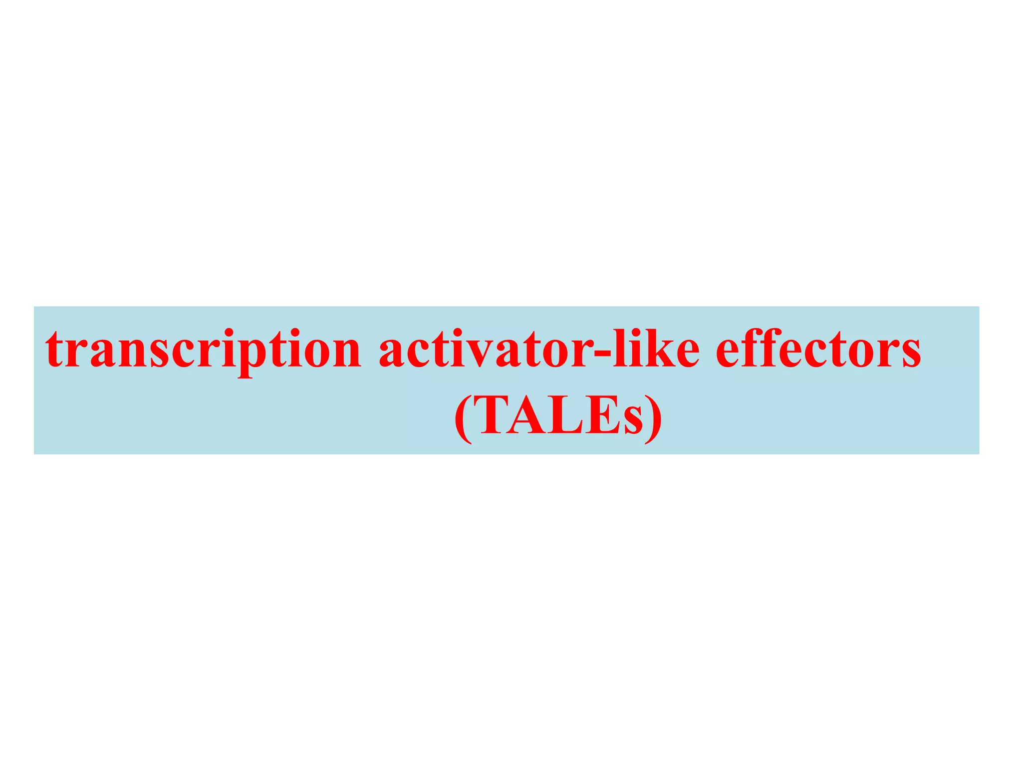 transcription activator-like effectors
(TALEs)
 