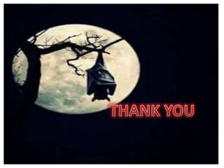 zoology seminar: Echolocation by Bat