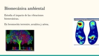 Biomecánica ambiental
Estudia el impacto de las vibraciones
biomecánicas.
En locomoción terrestre, acuática y aérea.
 