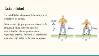 Estabilidad
La estabilidad viene condicionada por la
superﬁcie de apoyo.
Mientras el eje que pasa por el centro de
gravedad caiga sobre la base de
sustentación, el cuerpo estará en
equilibrio estable. Perderá su estabilidad
cuando el eje salga de la base de apoyo.
 